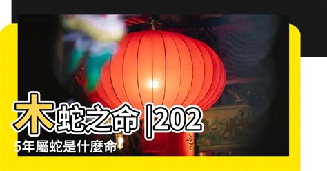 2025五行屬什麼